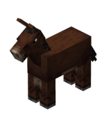 Mule