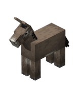 Donkey