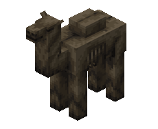Camel Husk